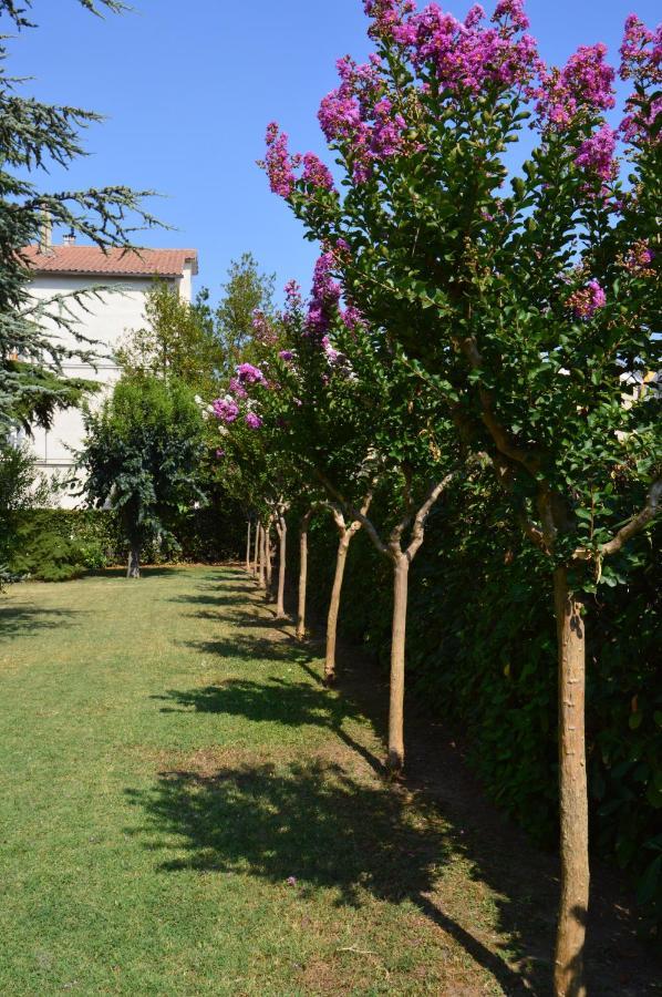 B&B Villa Lupidi Корридония Экстерьер фото