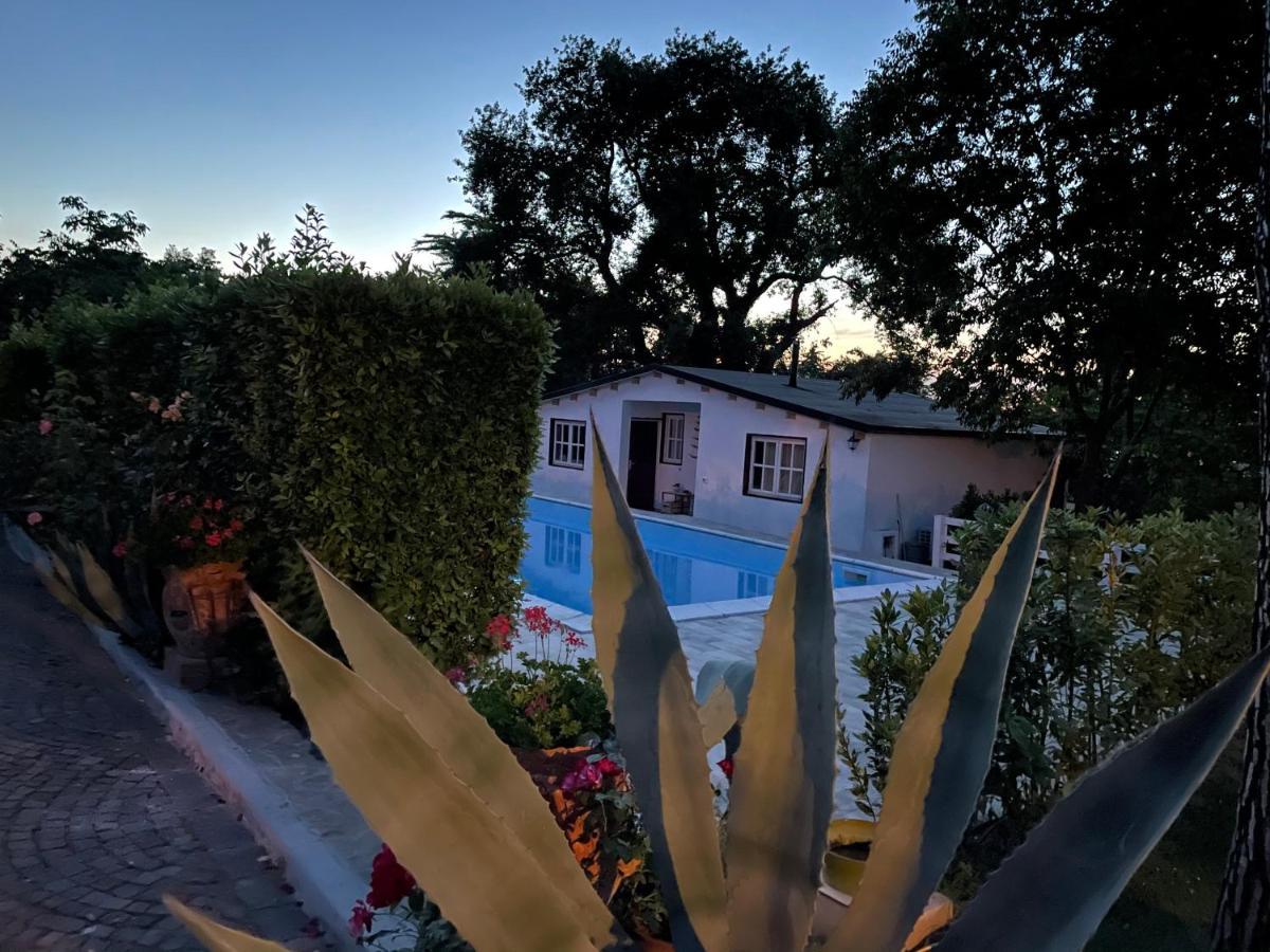 B&B Villa Lupidi Корридония Экстерьер фото