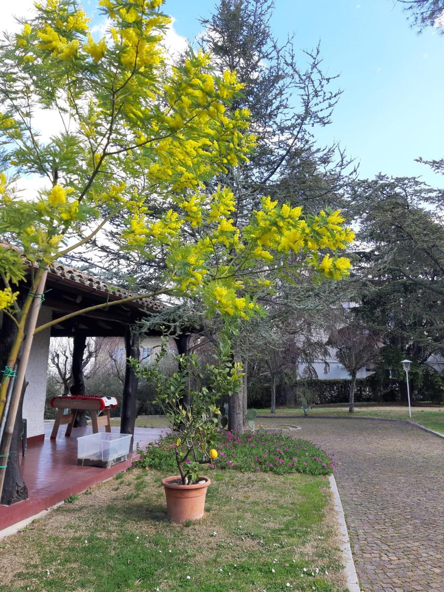 B&B Villa Lupidi Корридония Экстерьер фото